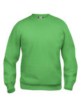 021030 Sweater Basic Roundneck Appel Groen Clique